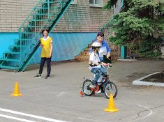 img (16)